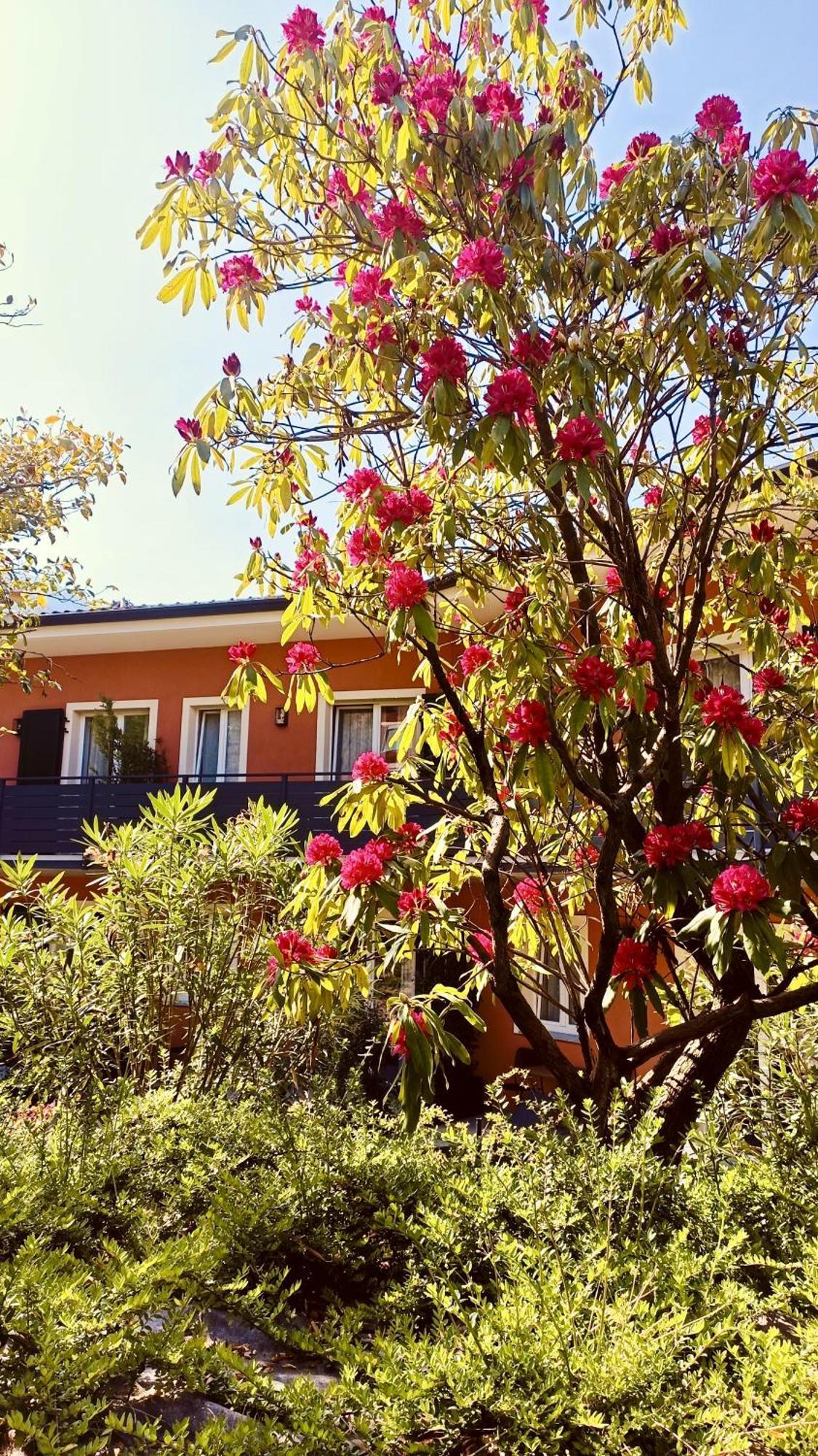 קנוביו Hotel Villa Cuserina מראה חיצוני תמונה