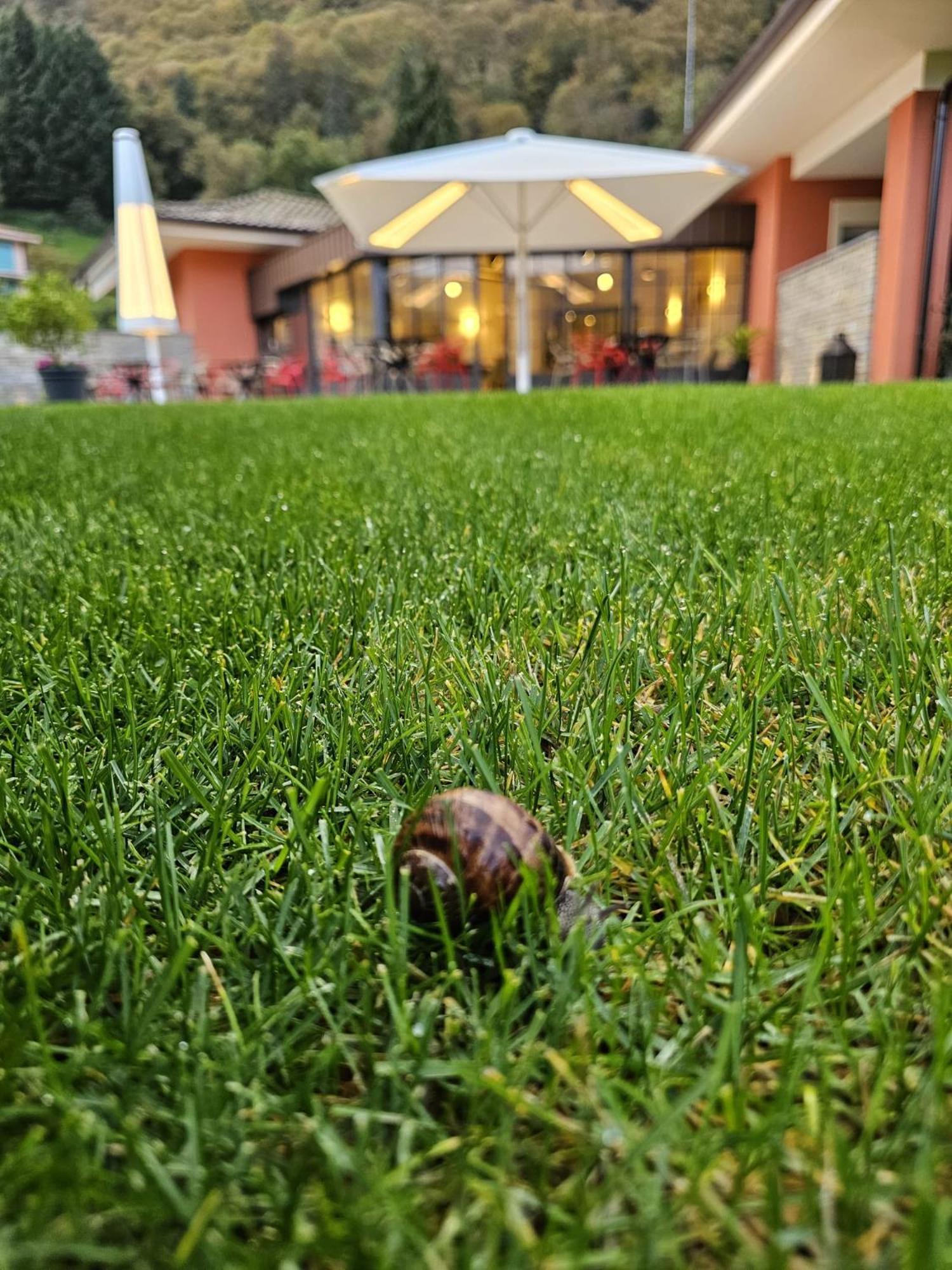 קנוביו Hotel Villa Cuserina מראה חיצוני תמונה